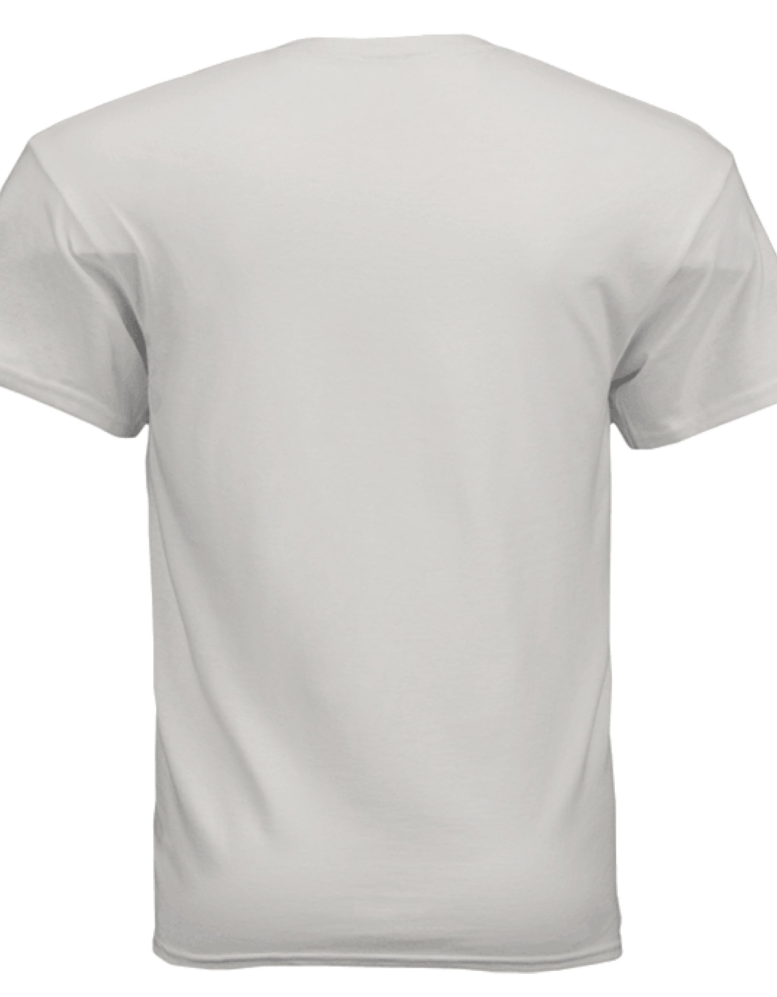 ICE GREY - BACK